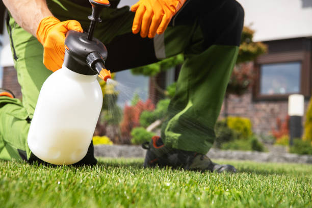 Best Best Pest Control Companies  in Wintersville, OH