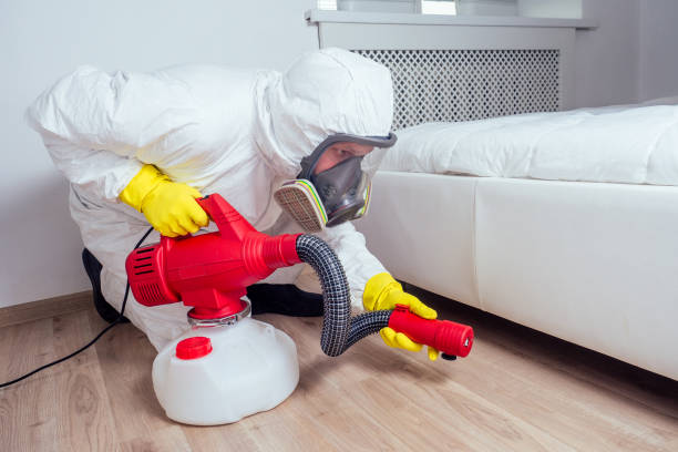 Best Local Pest Control Services  in Wintersville, OH