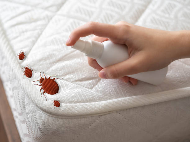 Best Pest Control Near Me  in Wintersville, OH