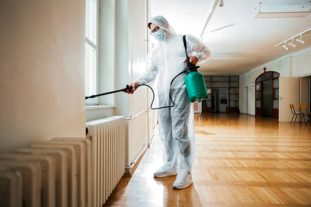 Best Best Pest Control Companies  in Wintersville, OH